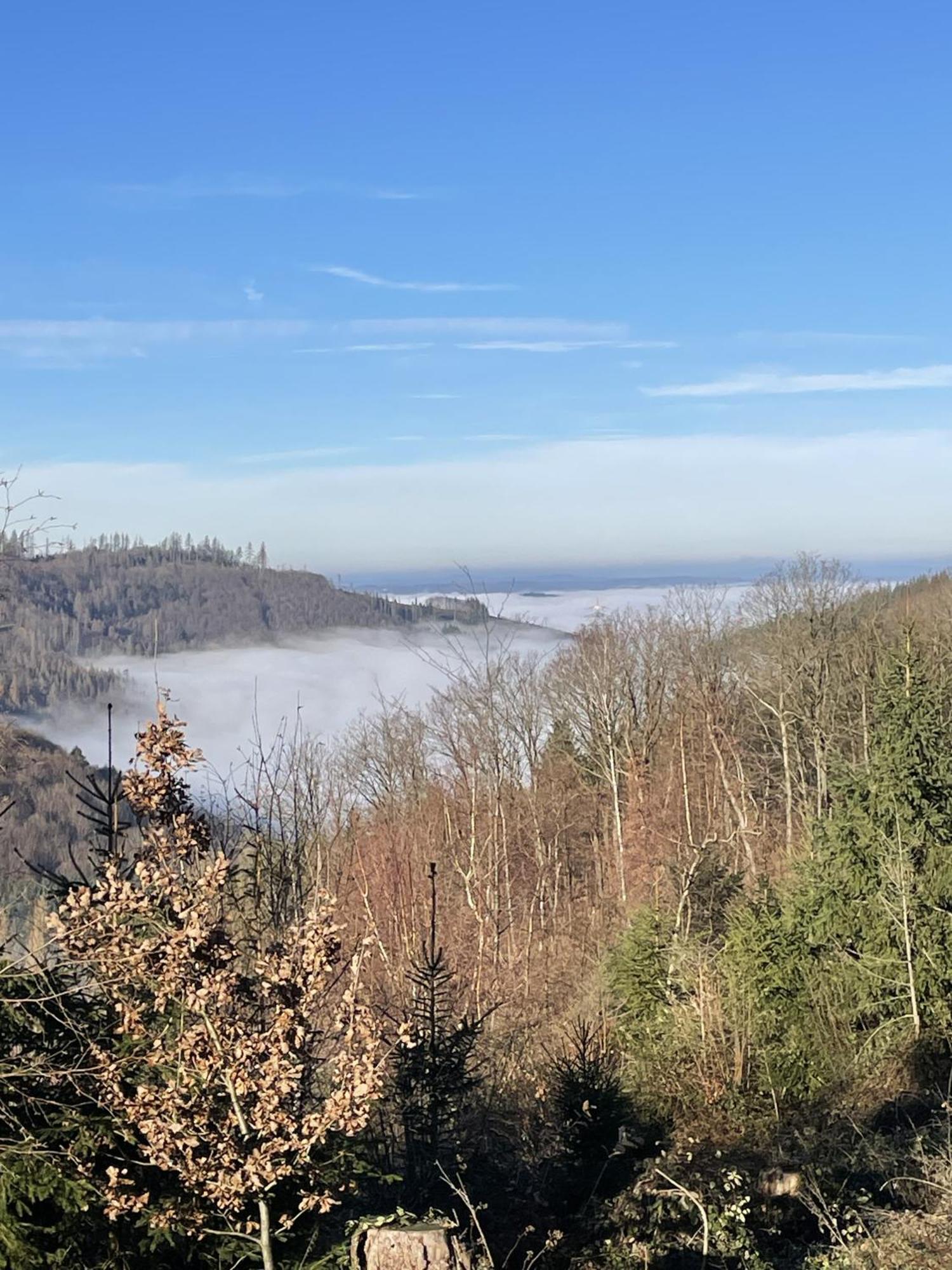 Gittas Paradiesperle Niederdreisbach Eksteriør billede