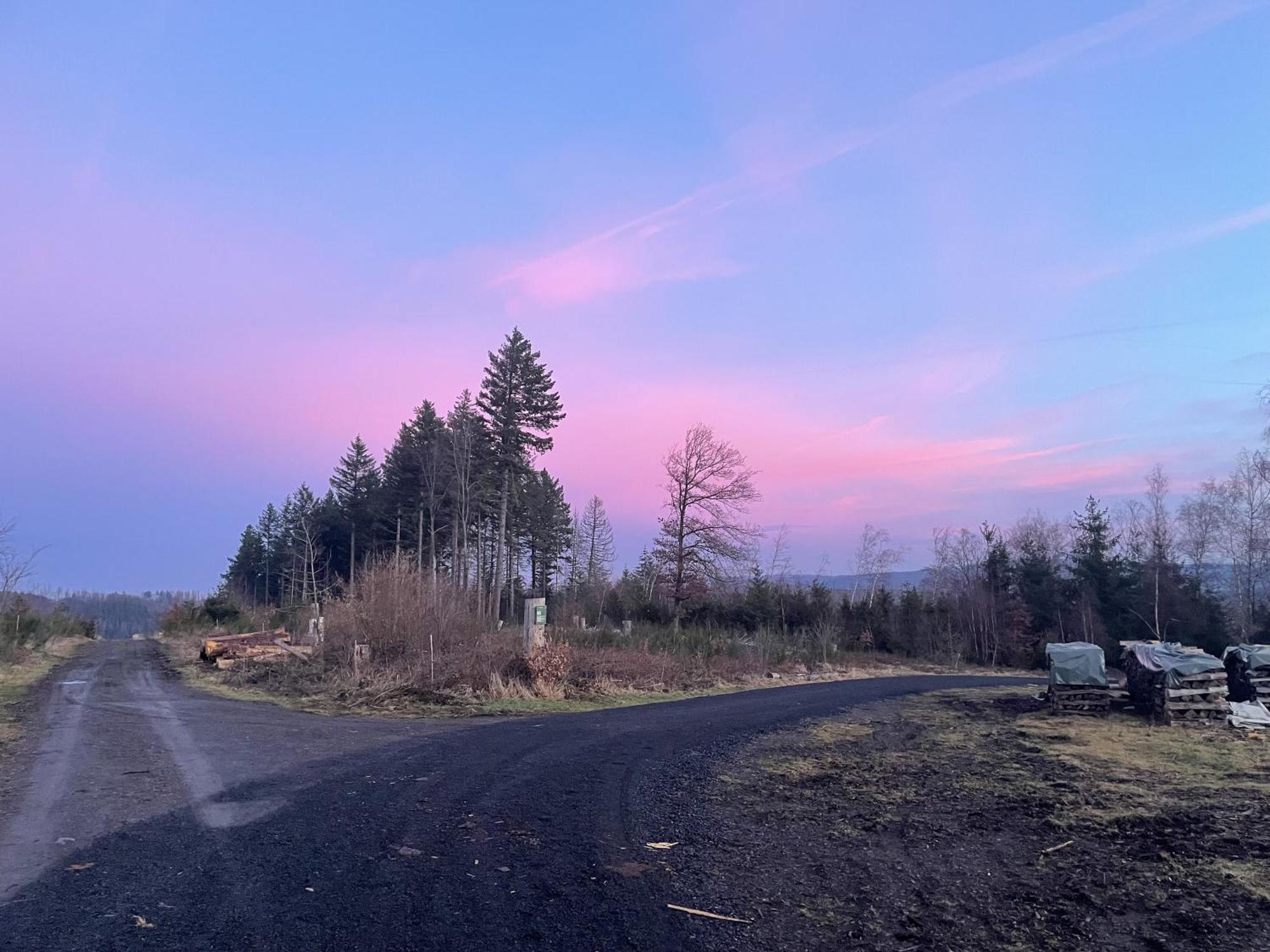 Gittas Paradiesperle Niederdreisbach Eksteriør billede
