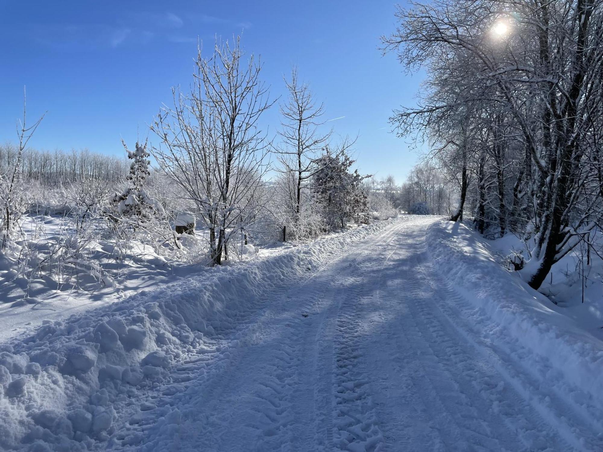 Gittas Paradiesperle Niederdreisbach Eksteriør billede