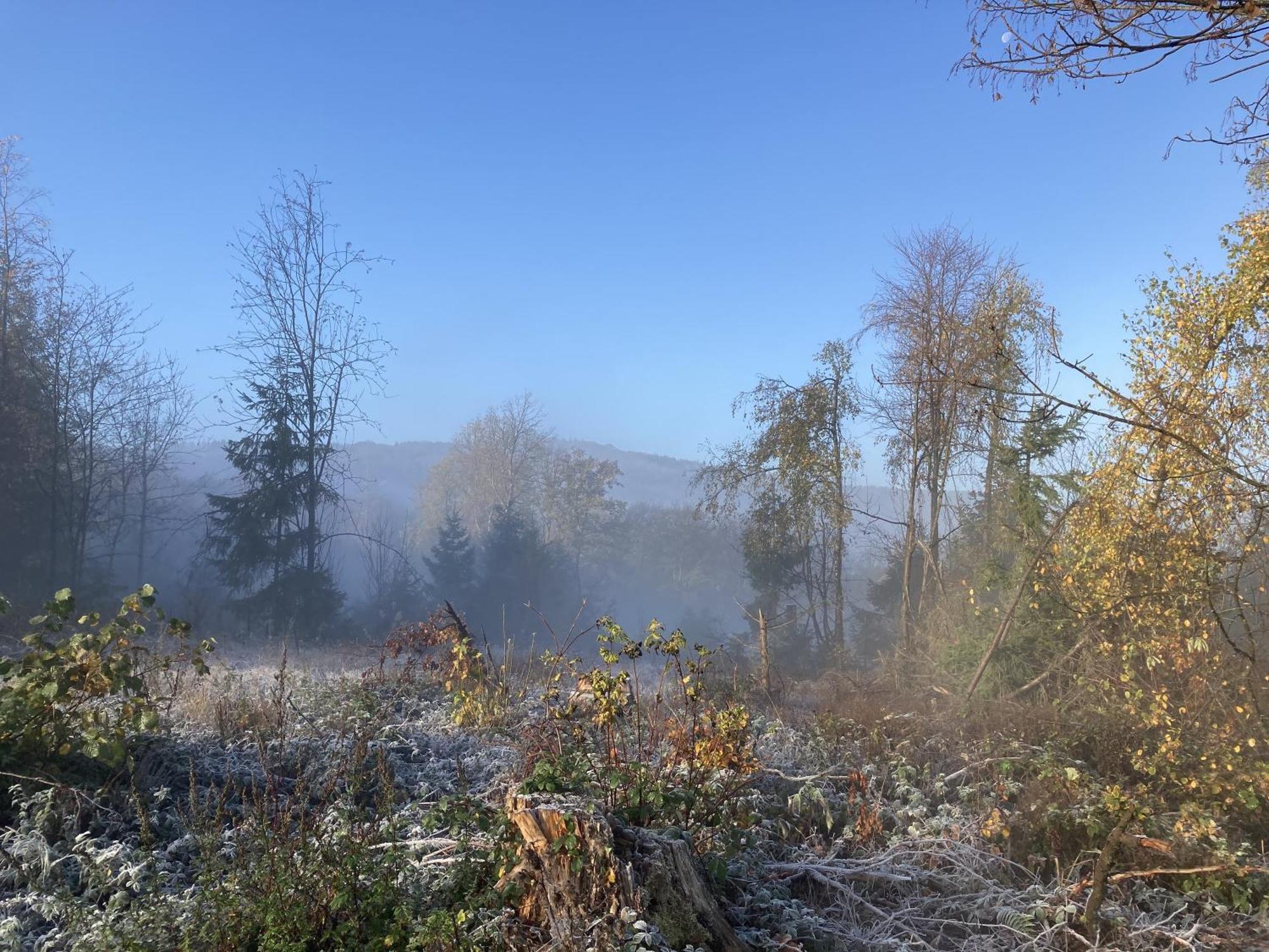 Gittas Paradiesperle Niederdreisbach Eksteriør billede