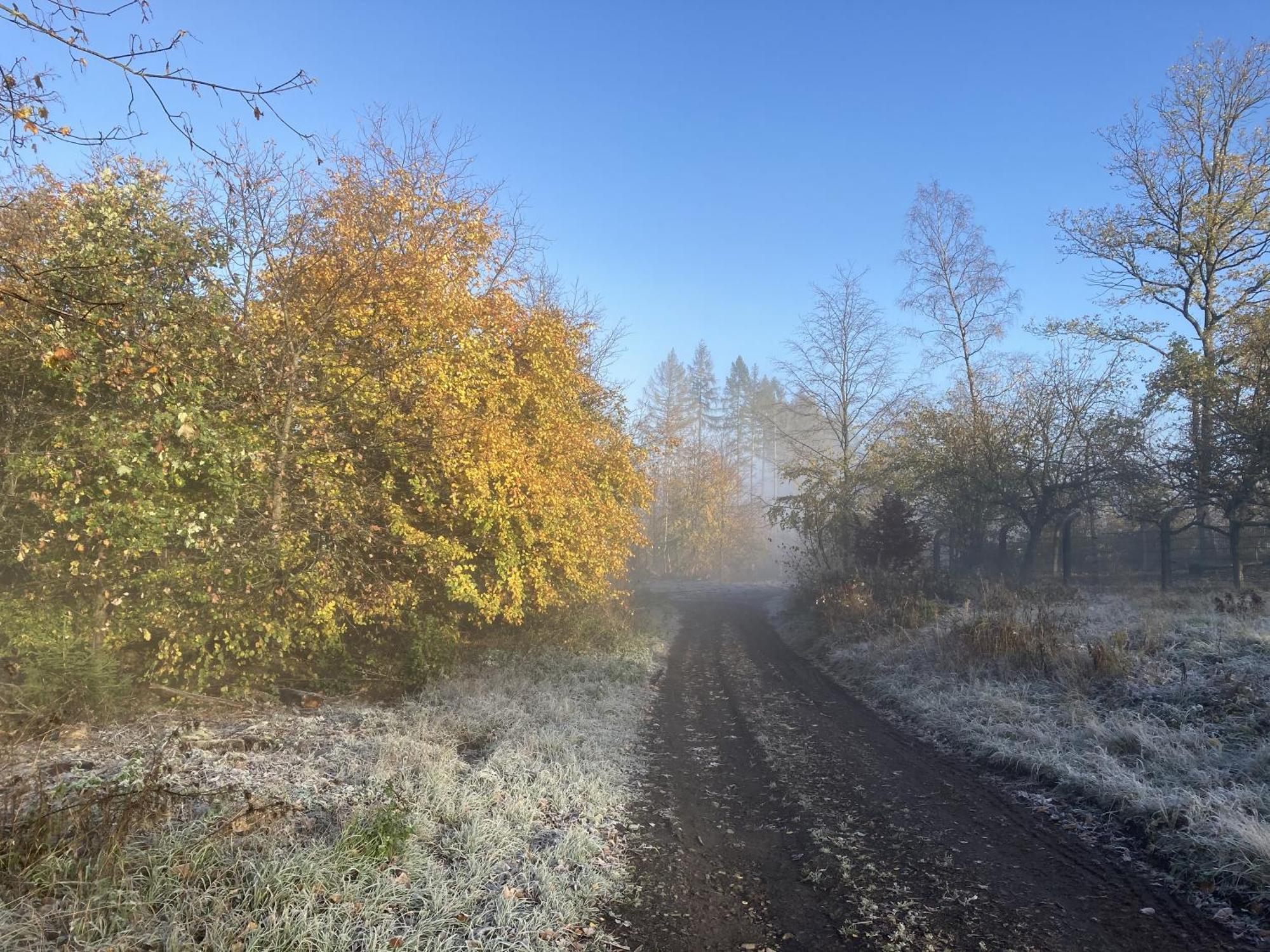 Gittas Paradiesperle Niederdreisbach Eksteriør billede