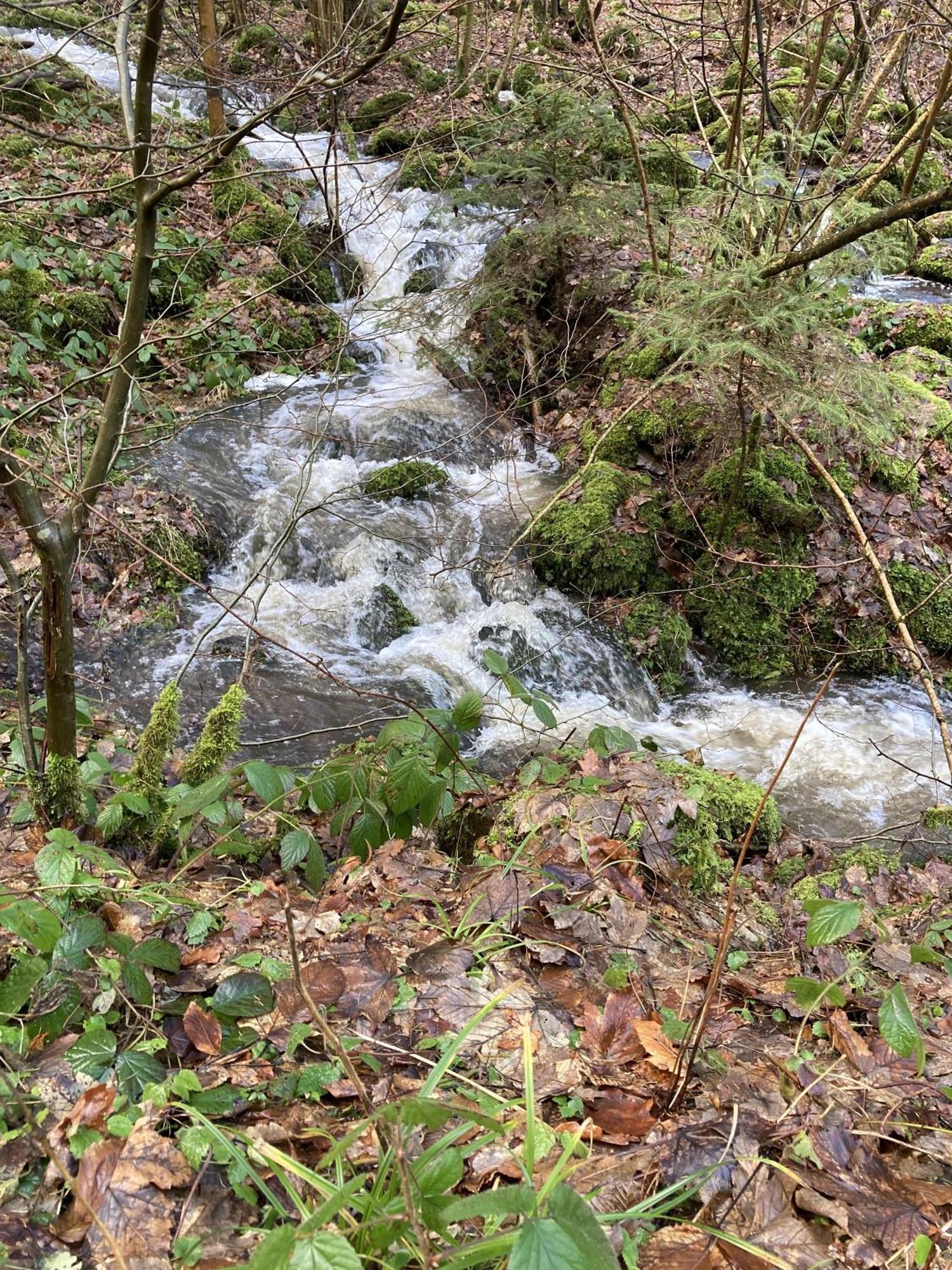 Gittas Paradiesperle Niederdreisbach Eksteriør billede